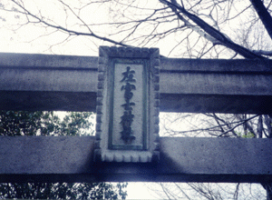plate of jinja